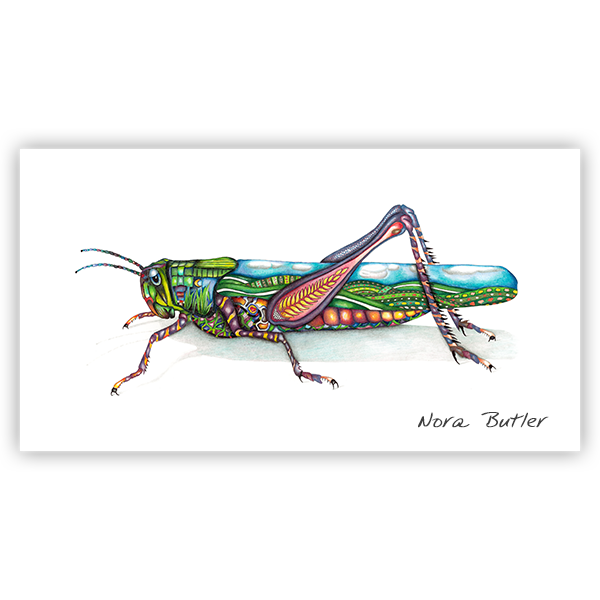 Grasshopper Limited Edition Print