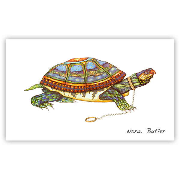 Wanderlust Turtle Print By Nora Butler