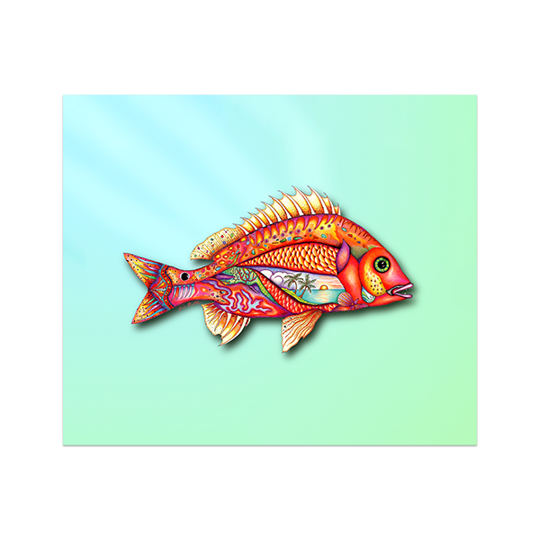 8x10 Fantasy Fish Canvas